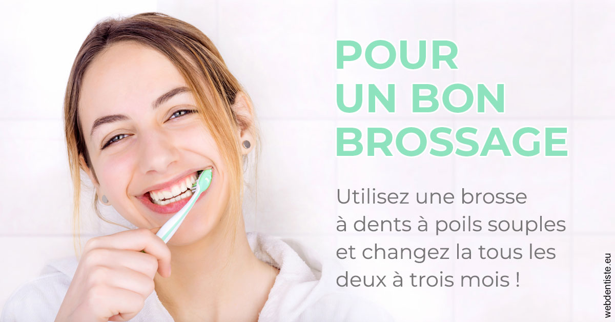 https://www.cabinet-dentaire-les-marronniers-ronchin.fr/Pour un bon brossage 2
