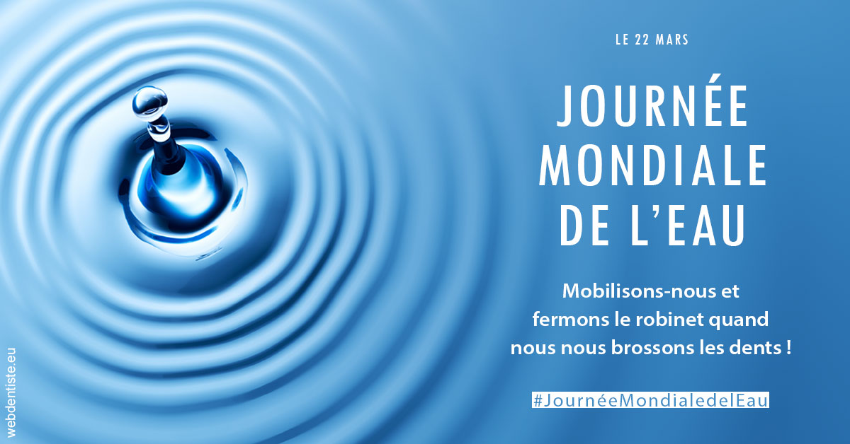 https://www.cabinet-dentaire-les-marronniers-ronchin.fr/Journée de l'eau 2023 1