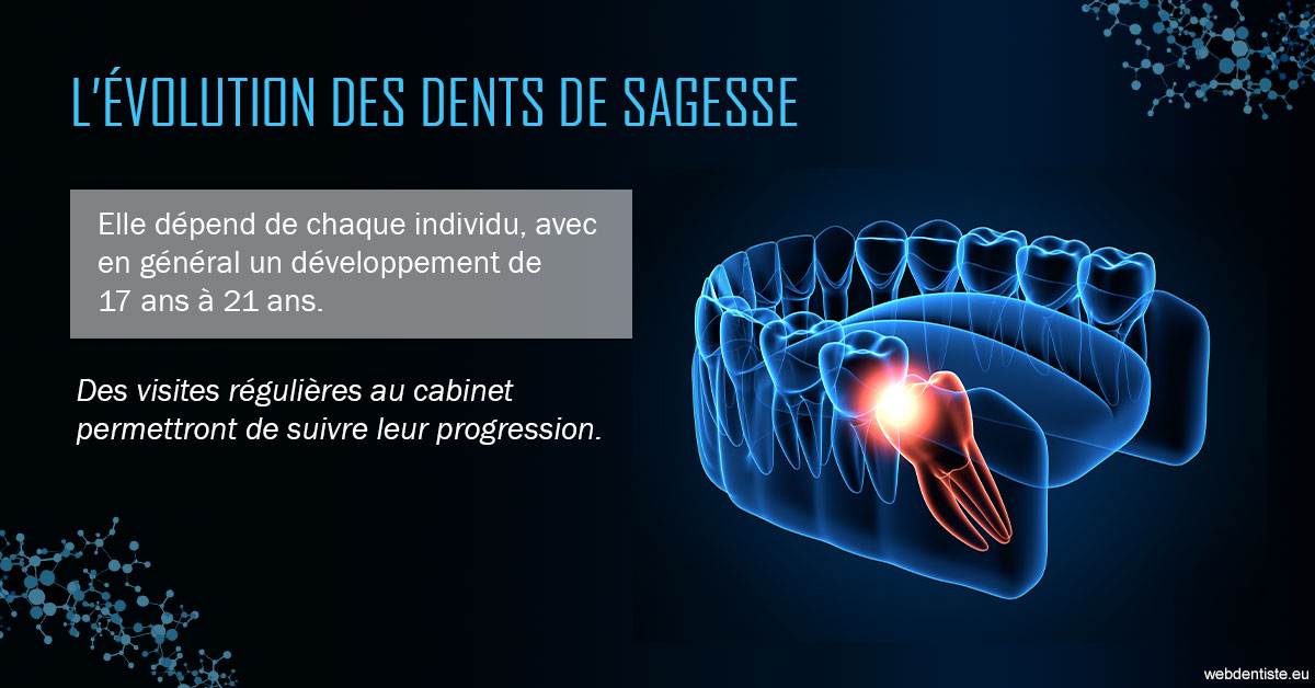 https://www.cabinet-dentaire-les-marronniers-ronchin.fr/2023 T4 - Dents de sagesse 01
