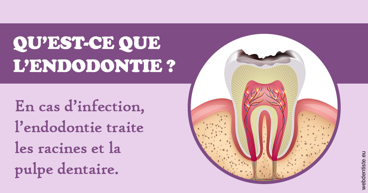 https://www.cabinet-dentaire-les-marronniers-ronchin.fr/2024 T1 - Endodontie 02