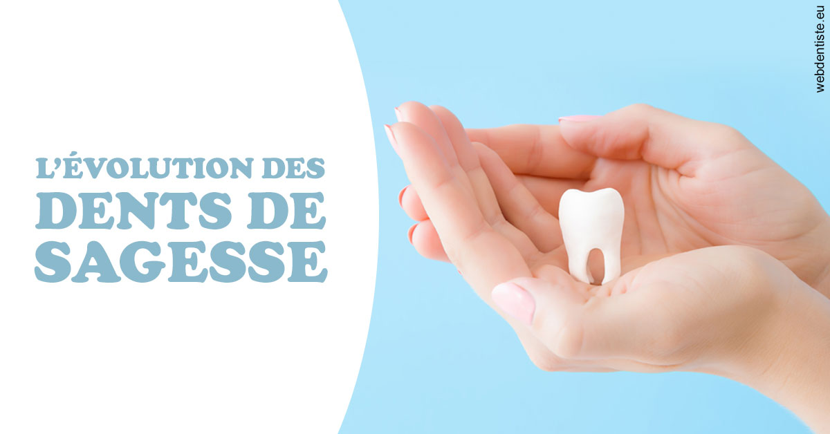 https://www.cabinet-dentaire-les-marronniers-ronchin.fr/Evolution dents de sagesse 1