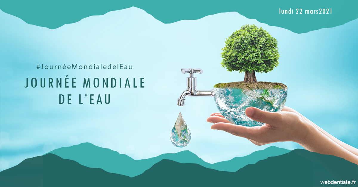 https://www.cabinet-dentaire-les-marronniers-ronchin.fr/Journée de l'eau 1