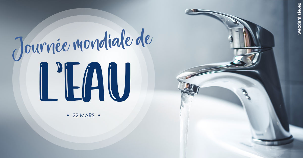 https://www.cabinet-dentaire-les-marronniers-ronchin.fr/La journée de l'eau 2
