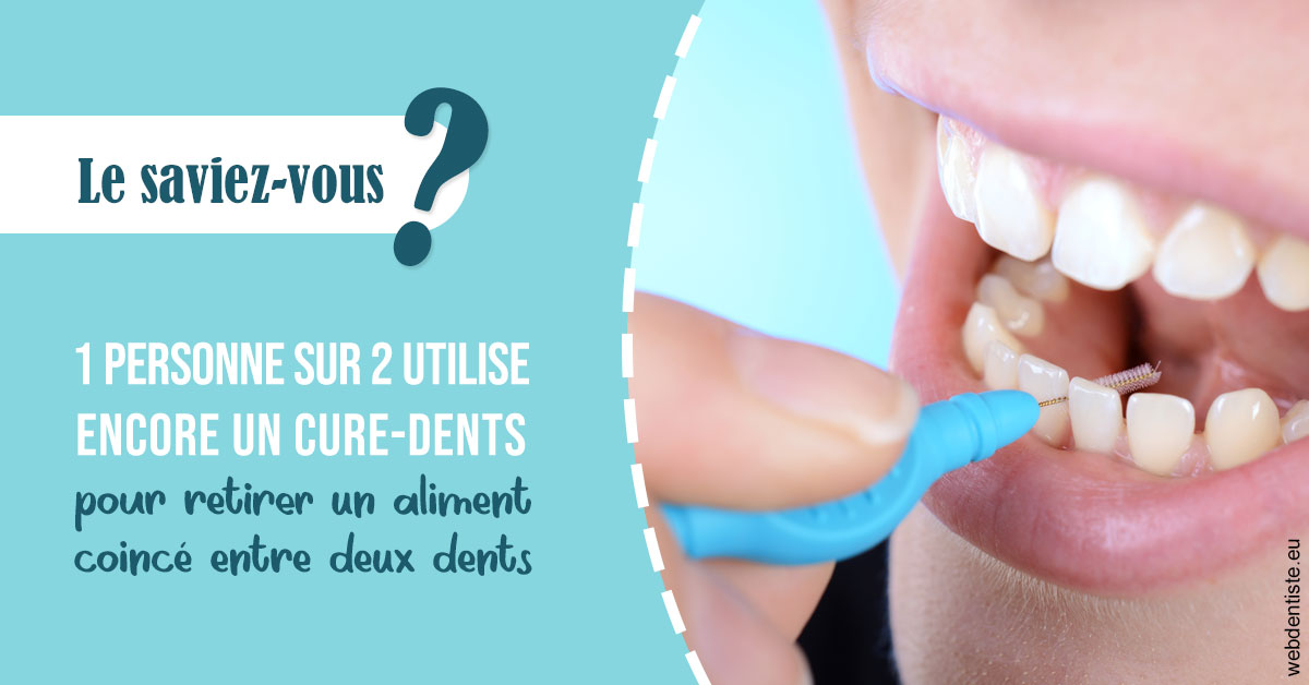 https://www.cabinet-dentaire-les-marronniers-ronchin.fr/Cure-dents 1