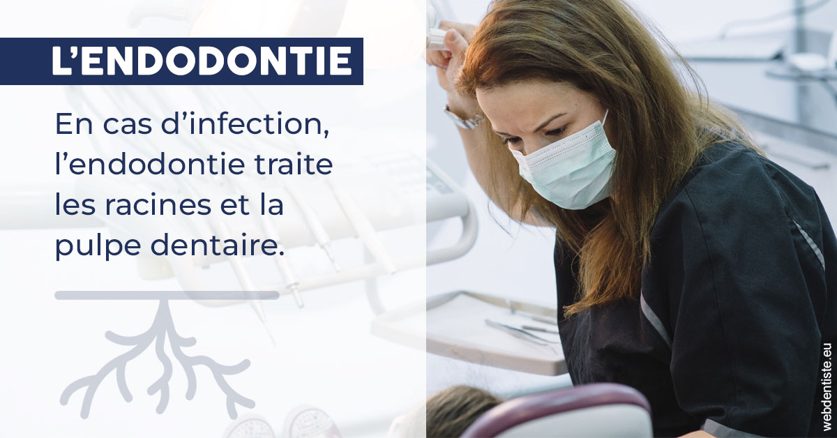 https://www.cabinet-dentaire-les-marronniers-ronchin.fr/L'endodontie 1