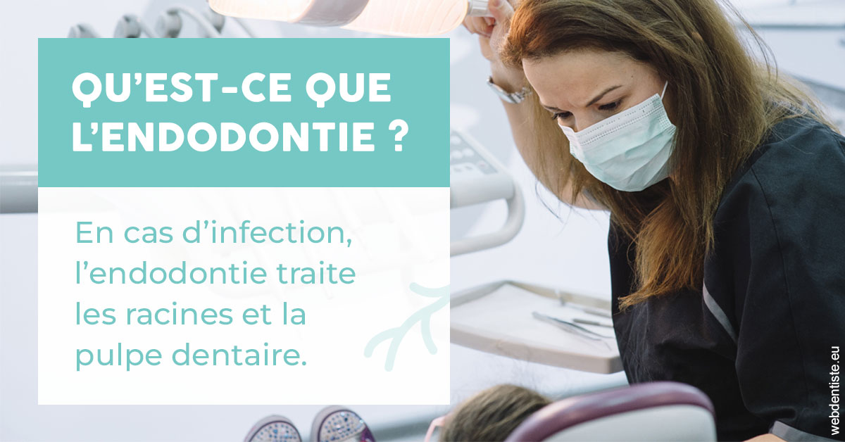 https://www.cabinet-dentaire-les-marronniers-ronchin.fr/2024 T1 - Endodontie 01