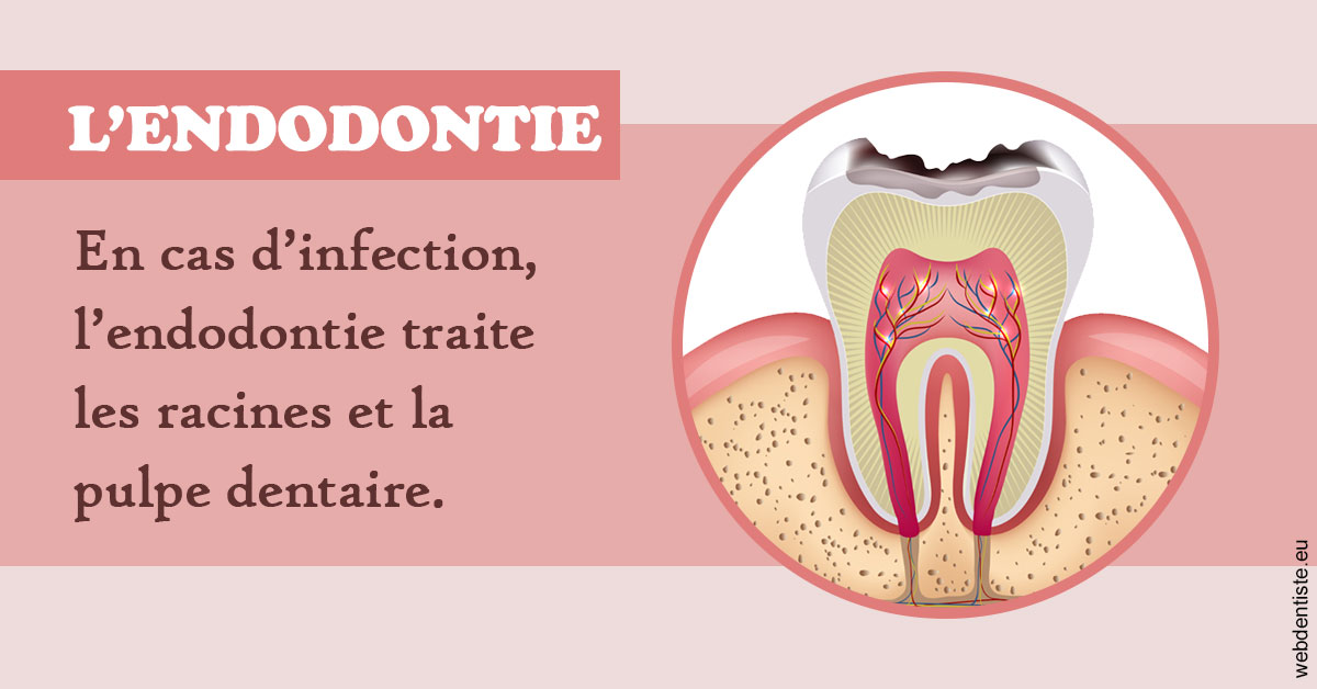 https://www.cabinet-dentaire-les-marronniers-ronchin.fr/L'endodontie 2